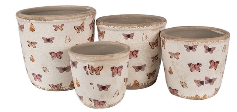 Butterfly Paradise K