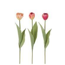 Tři tulipány ORANGE CORAL a PINK 